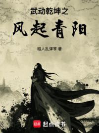 武动乾坤之风起青阳
