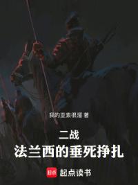 二战：法兰西的垂死挣扎